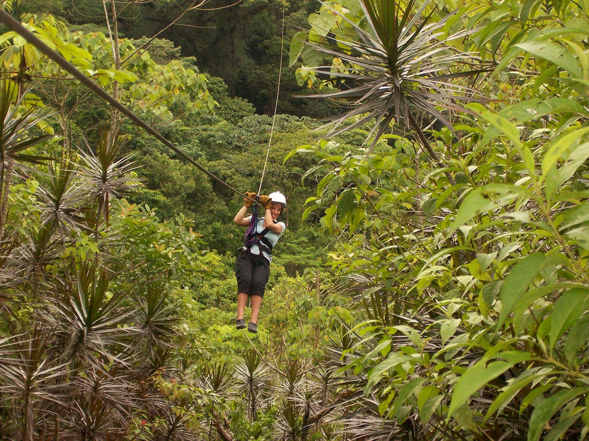 Zip-lining the cloud forest, Monteverde, Costa Rica