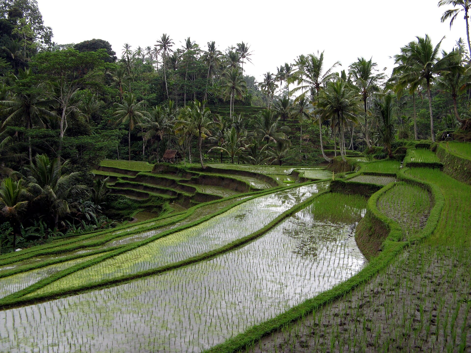 Bali, Indonesia
