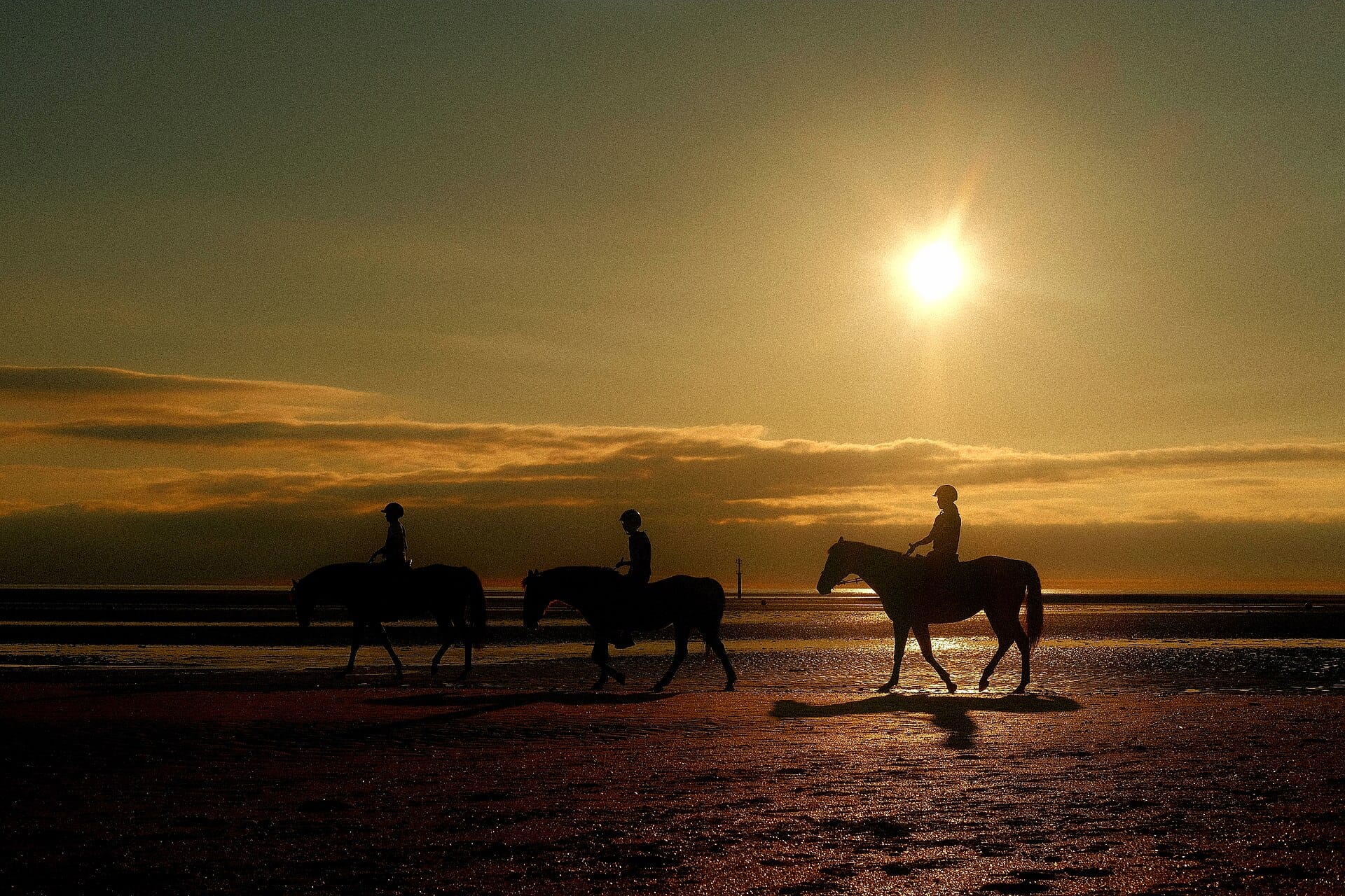 Horse riding on the beach