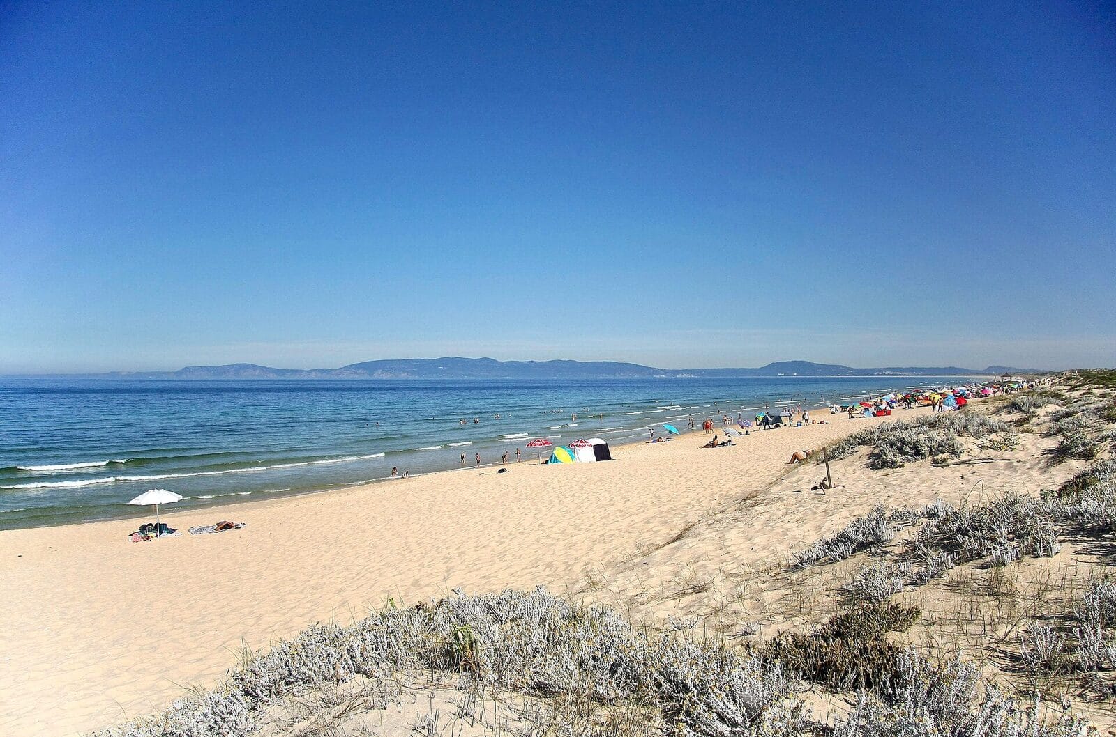 Spatia Comporta