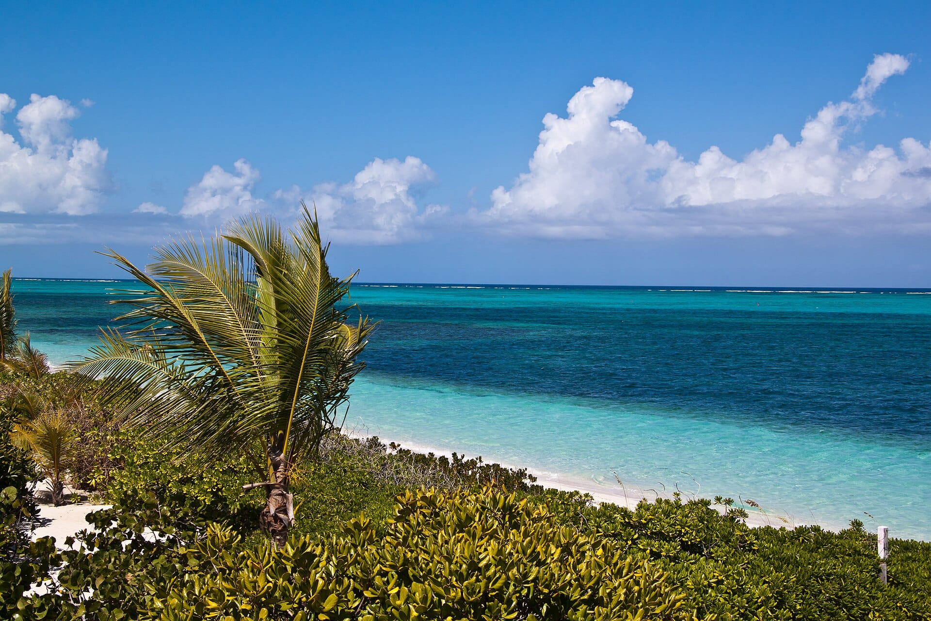 Ocean Club Resorts