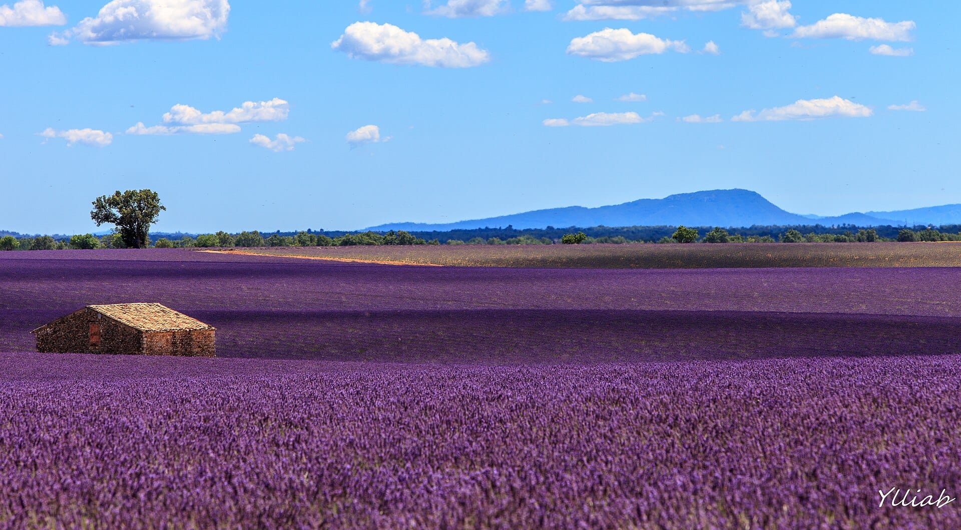 Provence, France