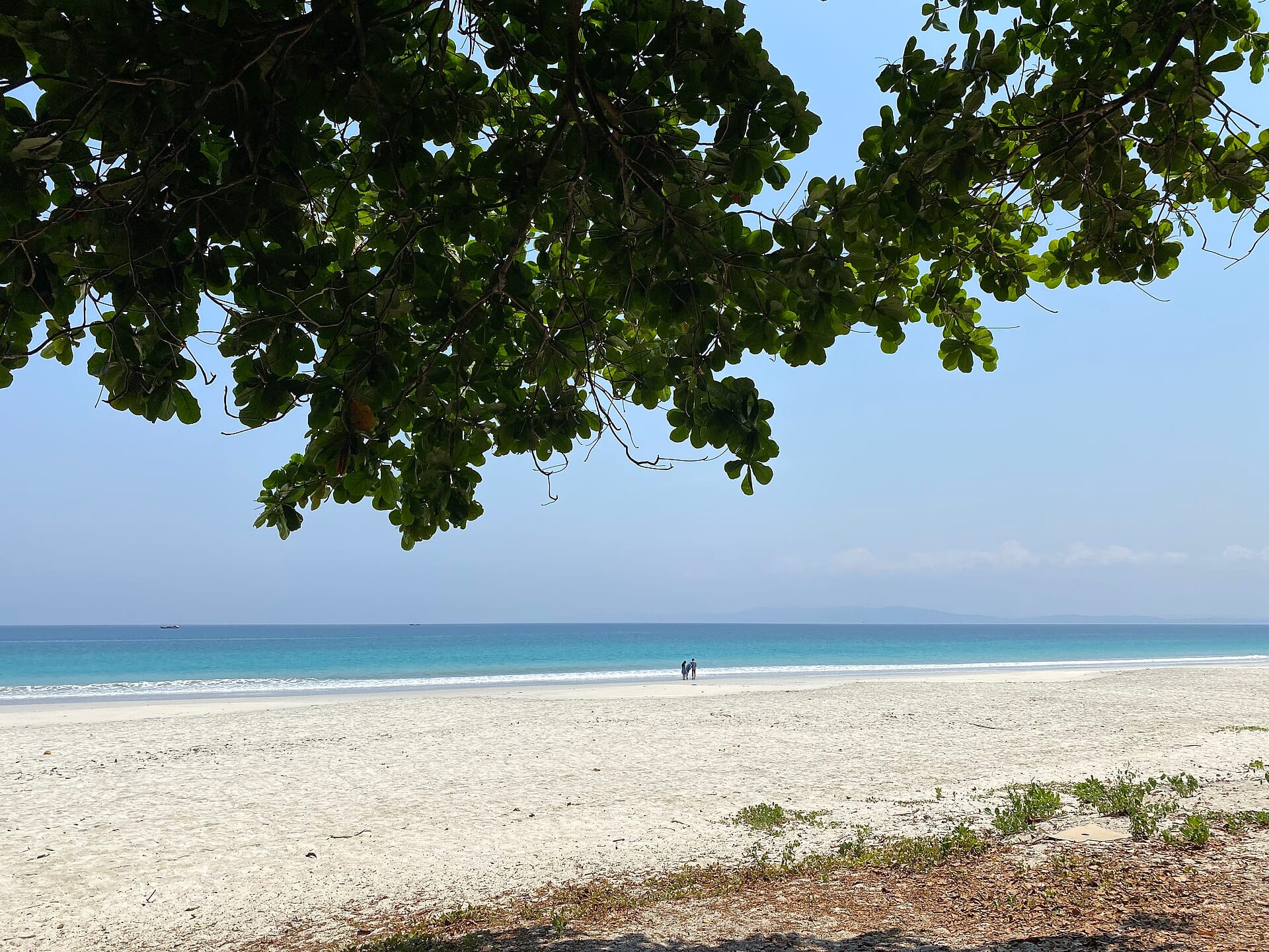 Havelock Island, Andaman Islands, India