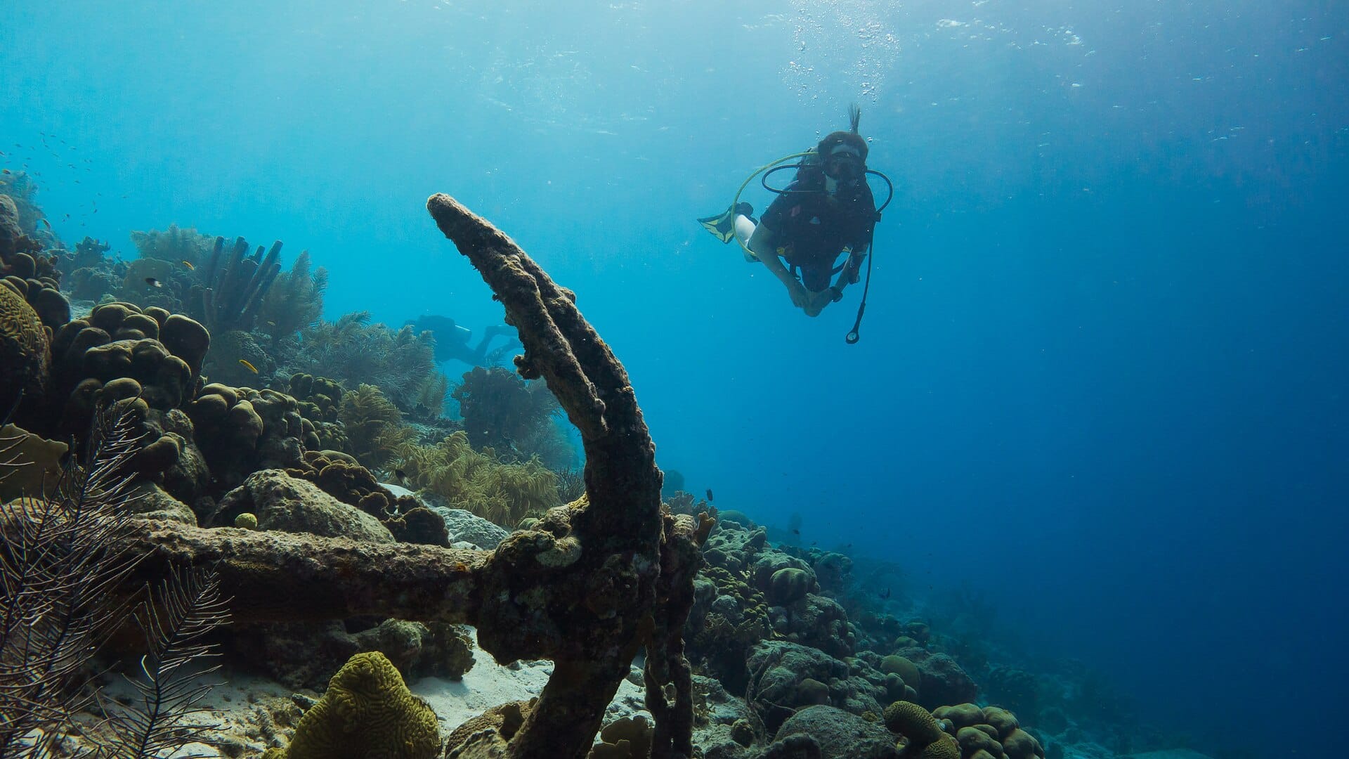 Bonaire, Dutch Caribbean