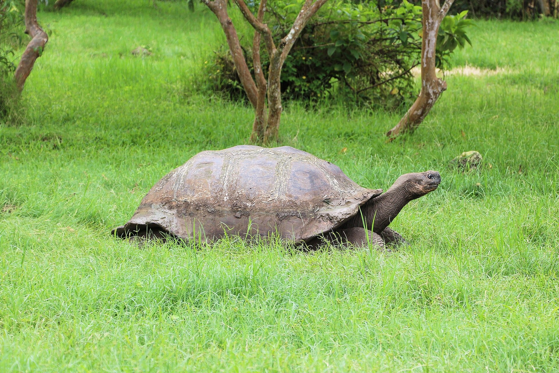 Galápagos Islands, Ecuador