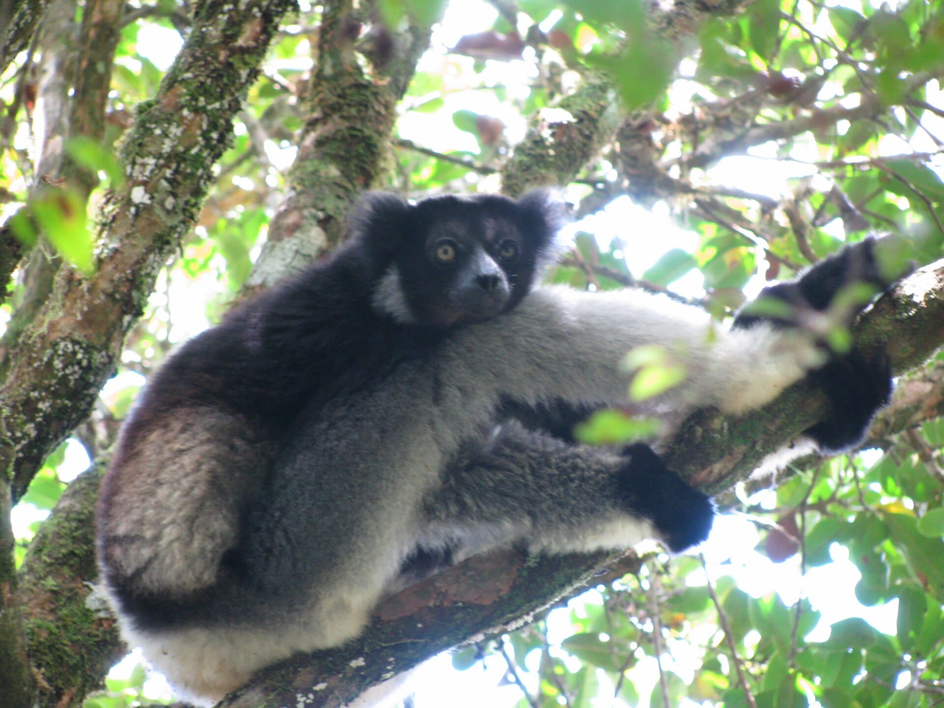 Andasibe, Madagascar