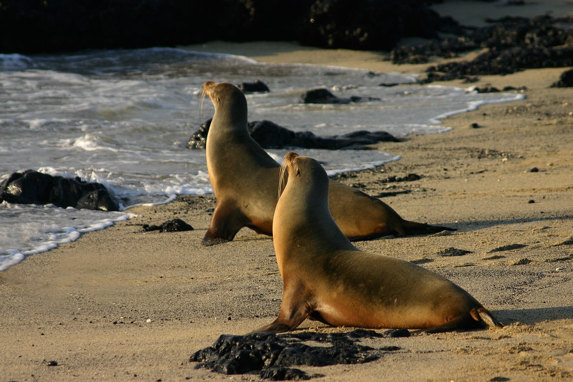 Ten wild tropical trips for animal lovers