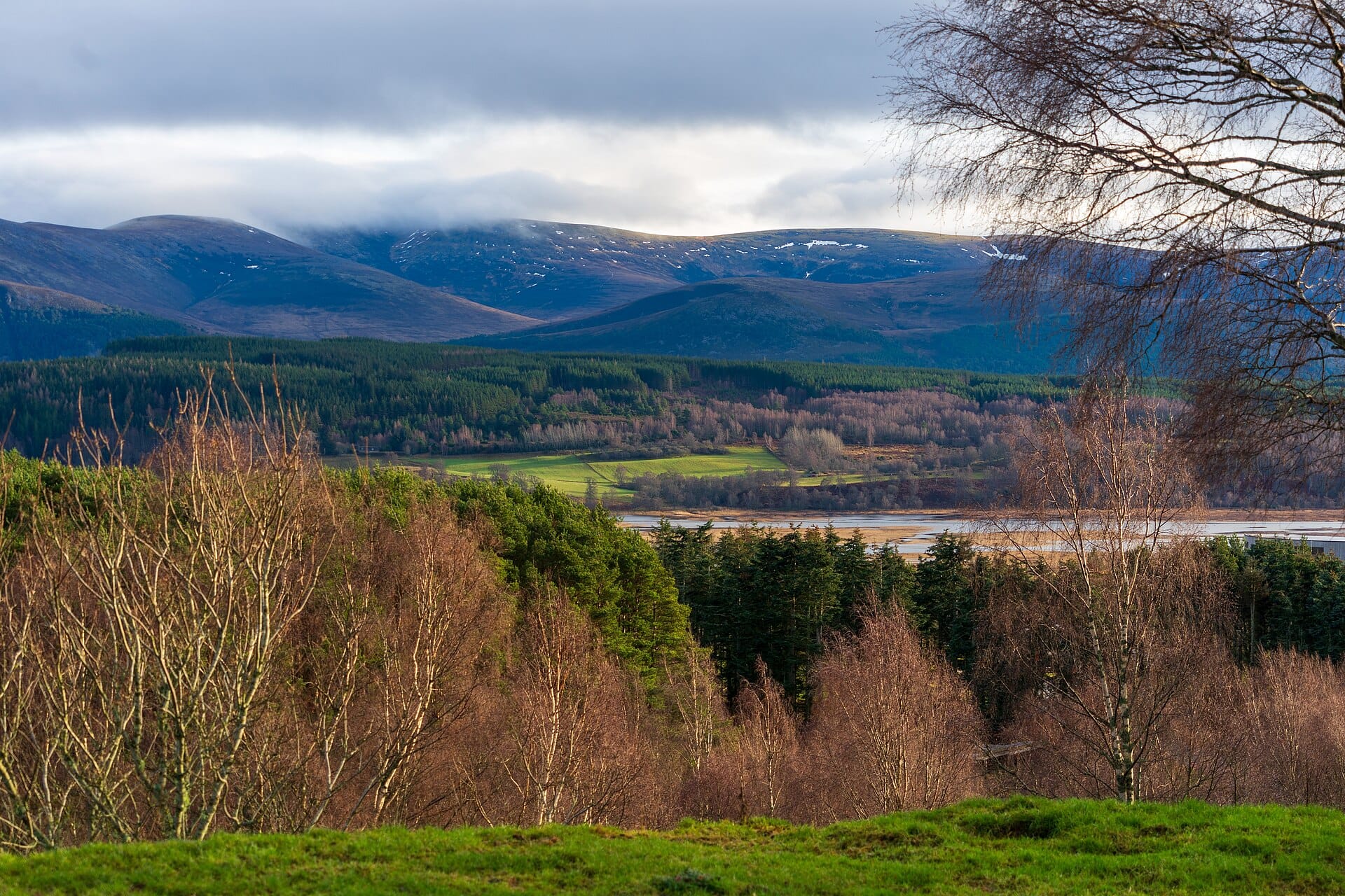 Red squirrels and ospreys, the Cairngorms, Scotland