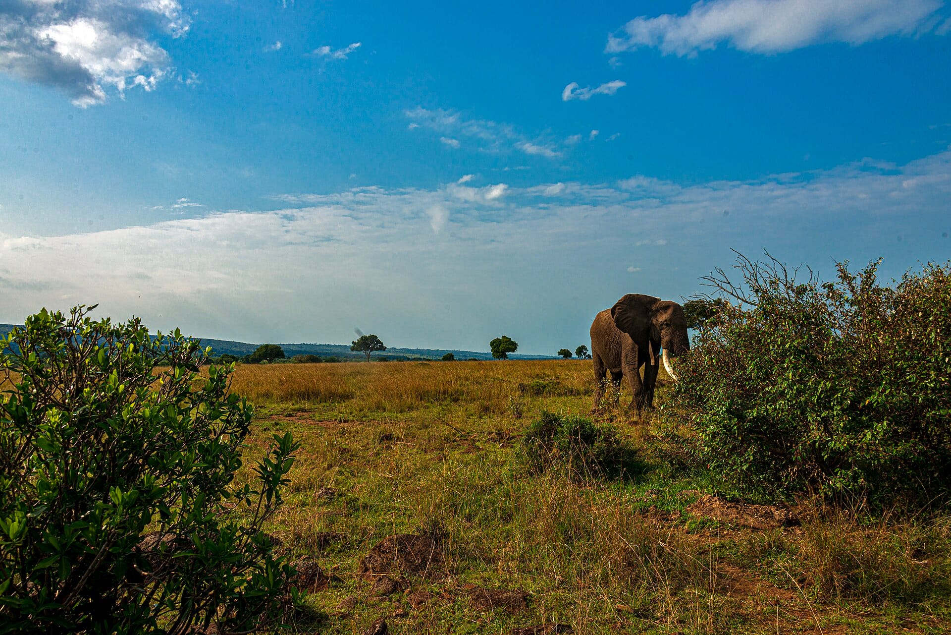 Ten wildlife holidays that beat any screen