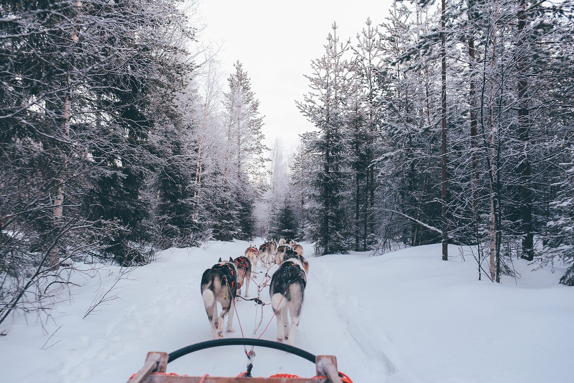 Ten winter-magic trips for families who love the cold
