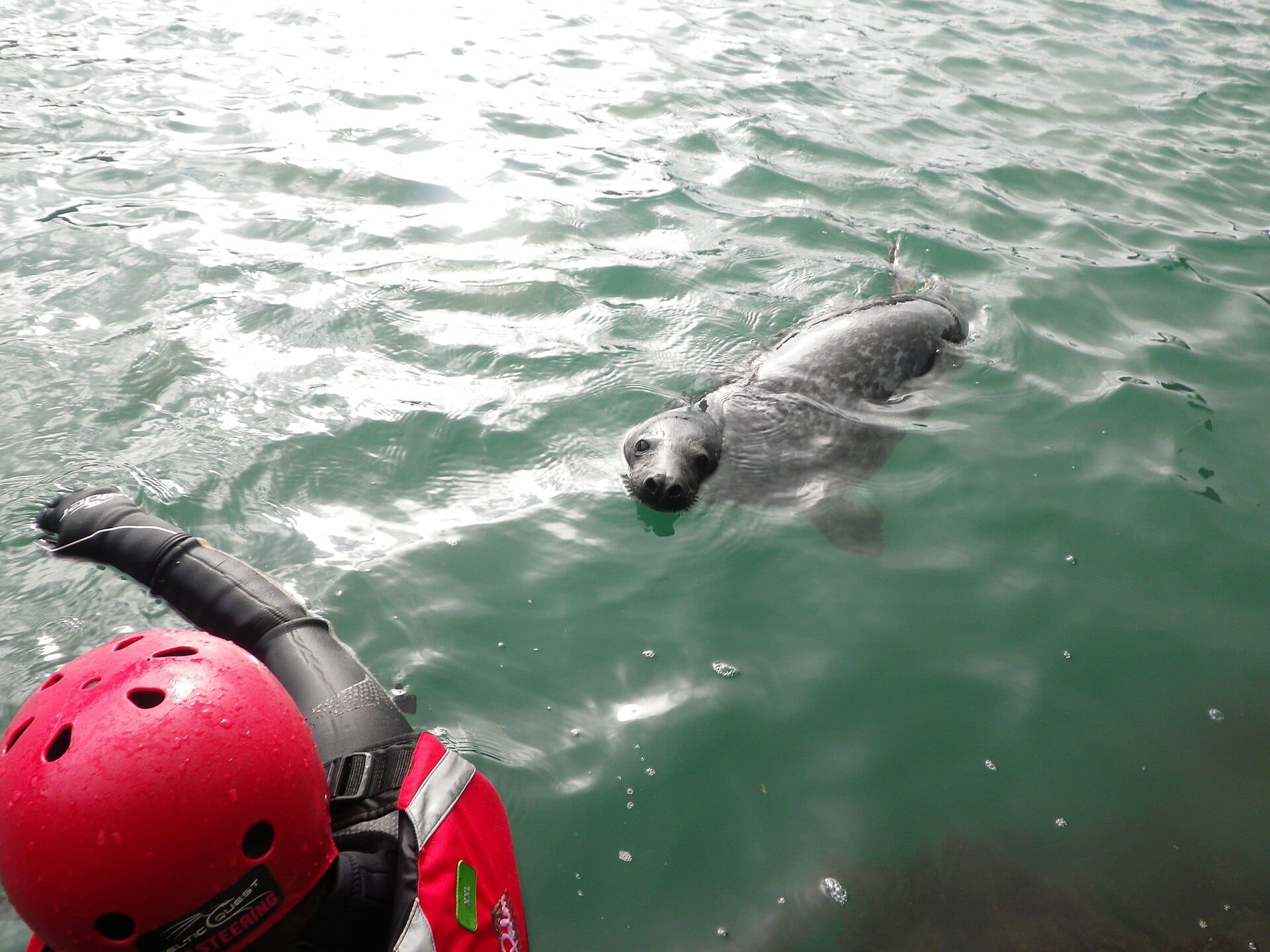 Coasteering, Pembrokeshire, Wales