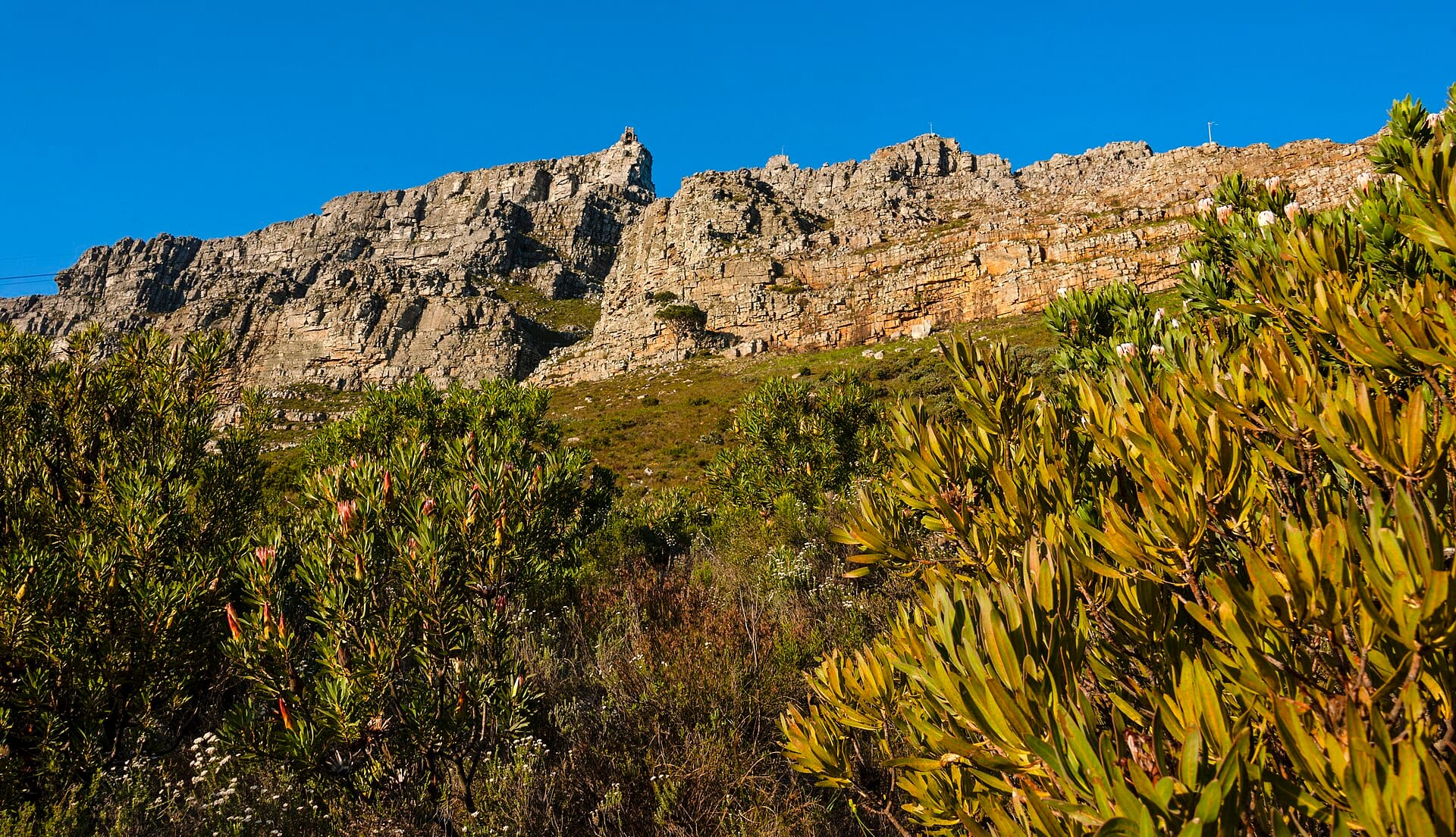 Abseiling Table Mountain, Cape Town, South Africa