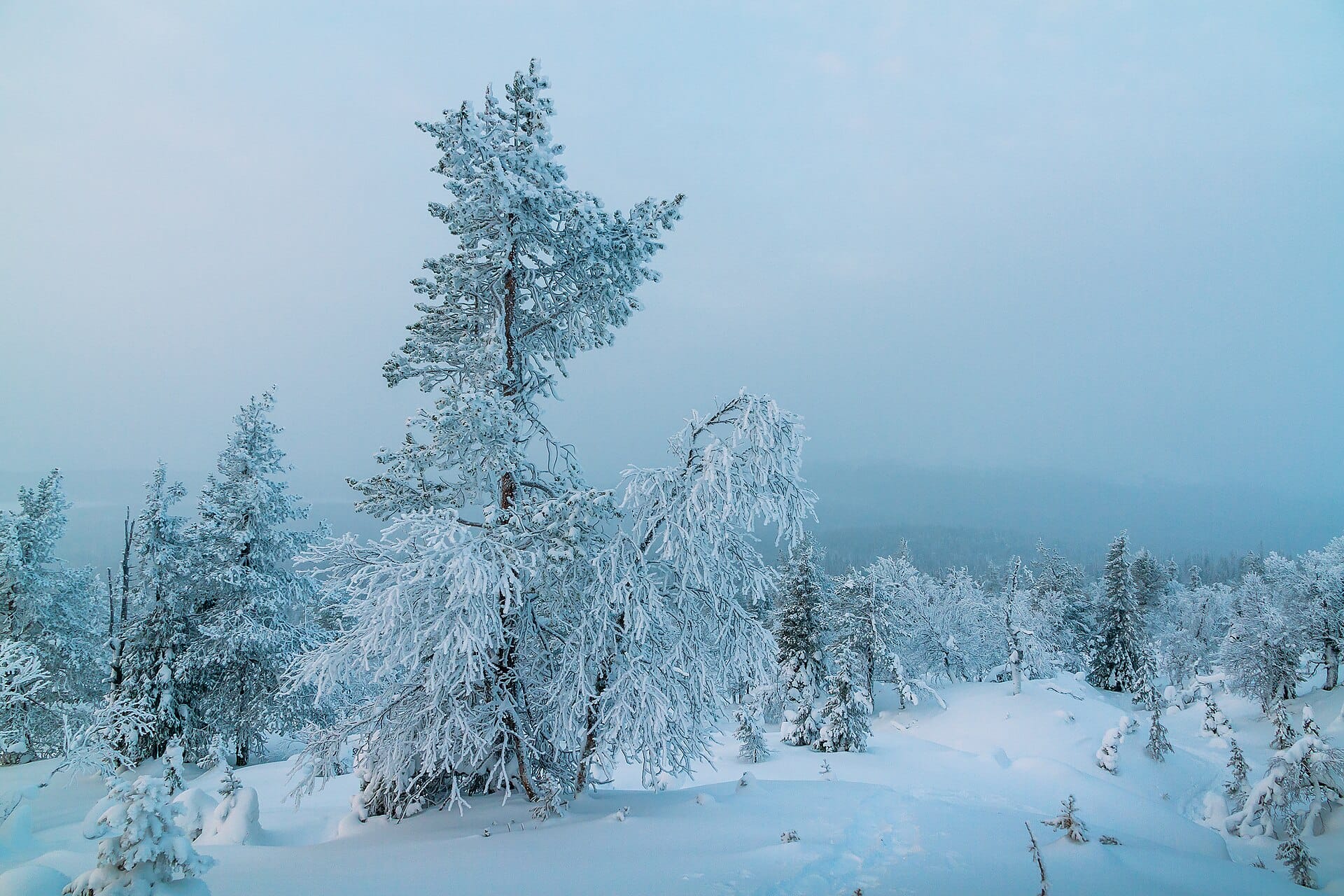 Levi, Finnish Lapland
