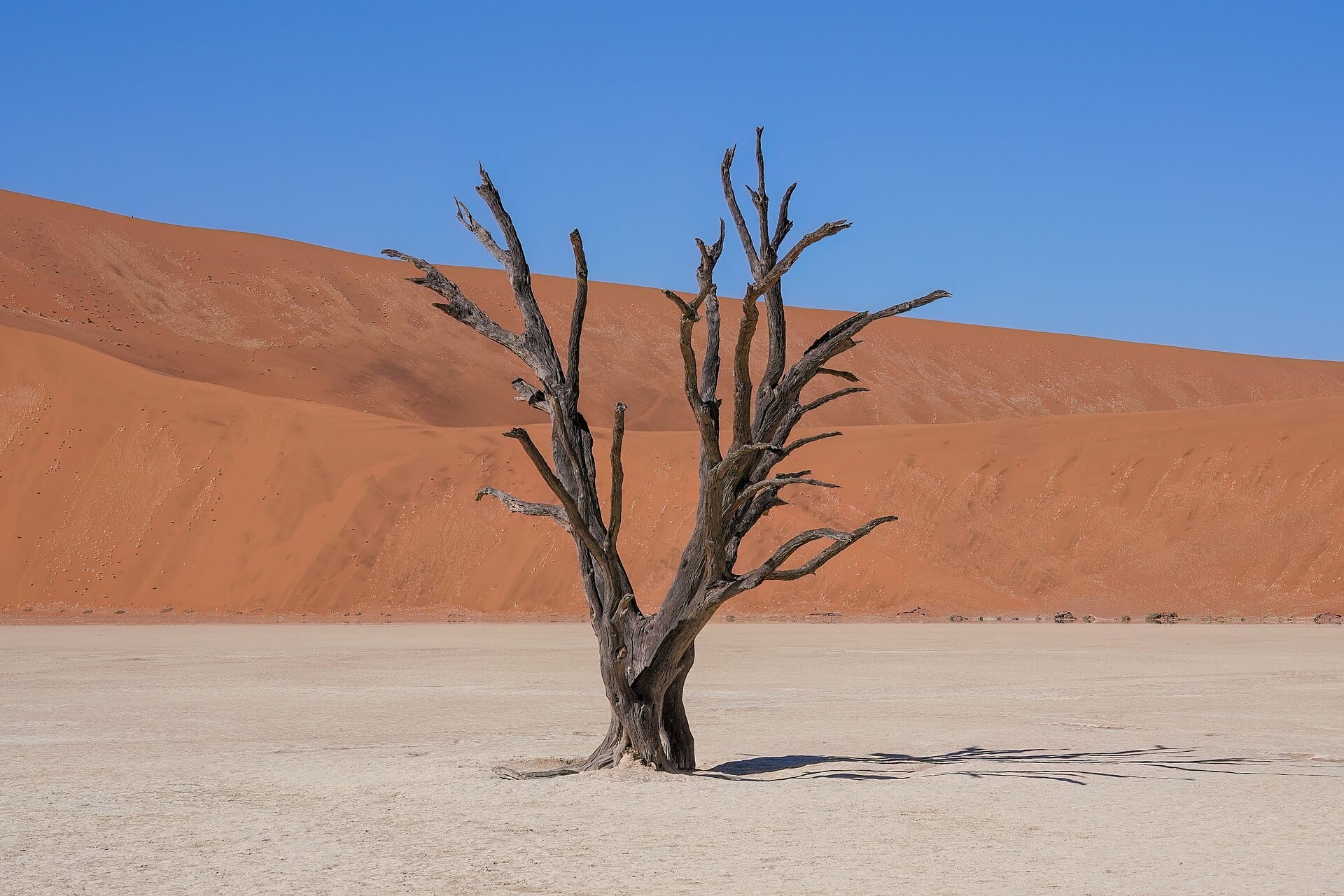 Sossusvlei, Namibia