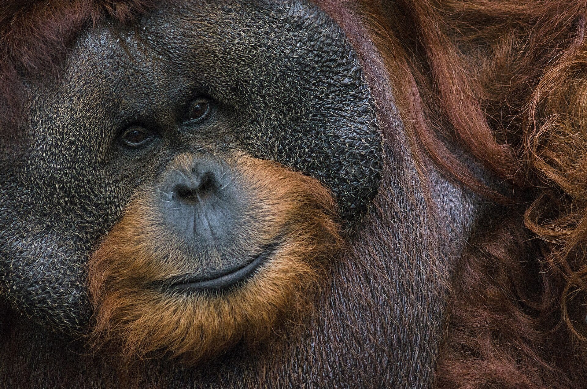 Sabah, Borneo, Malaysia