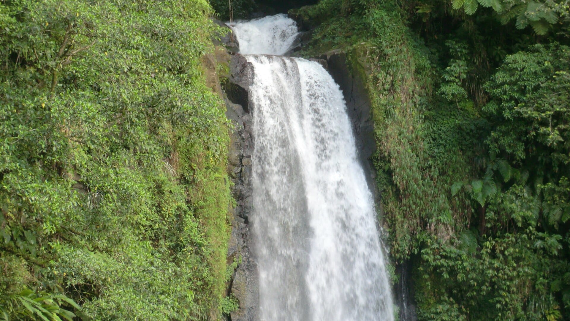 Dominica