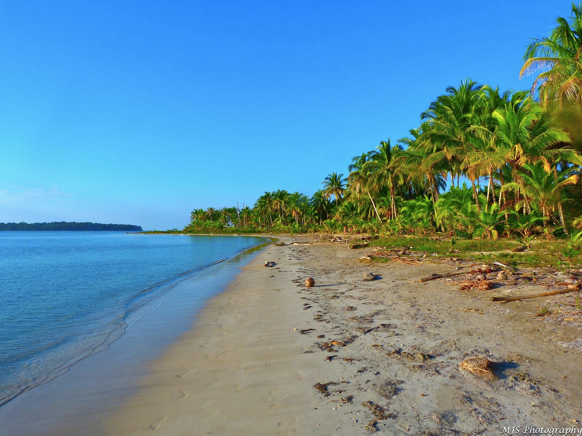 Bocas del Toro, Panama