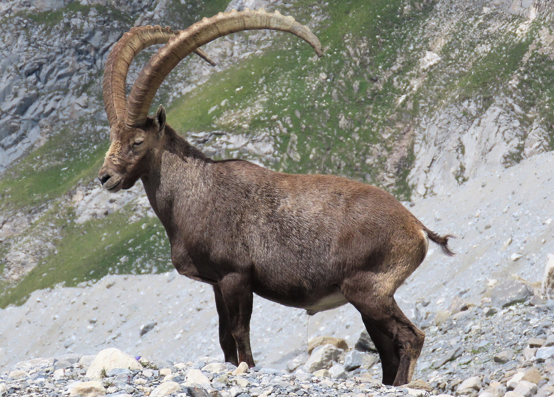 Vanoise National Park, France