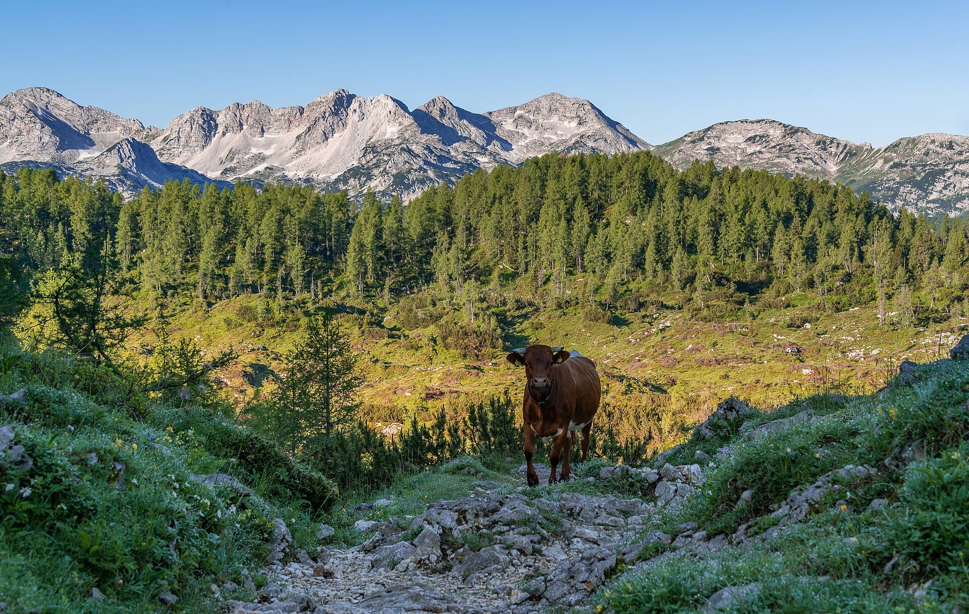 Triglav National Park, Slovenia