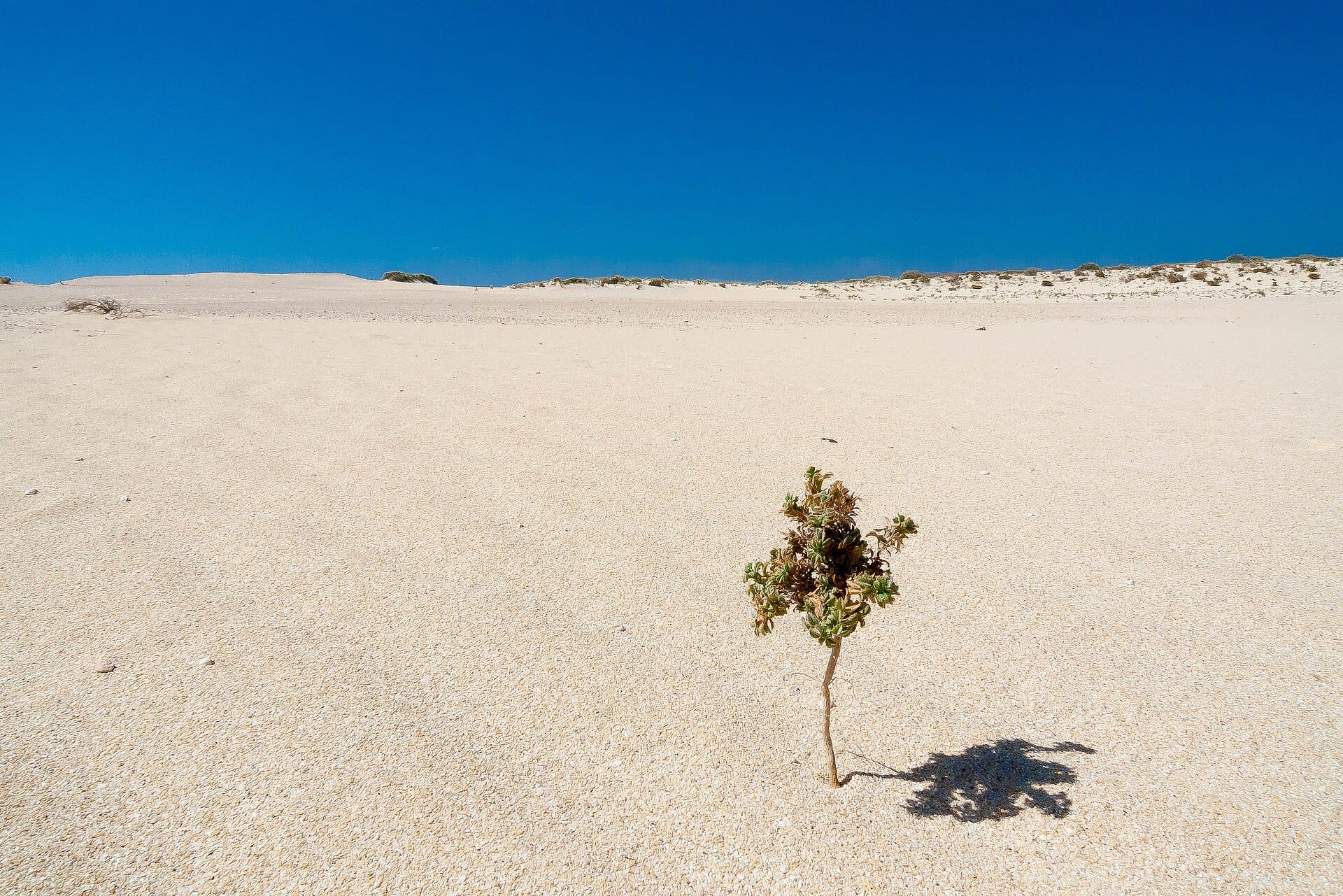 Fuerteventura, Canary Islands
