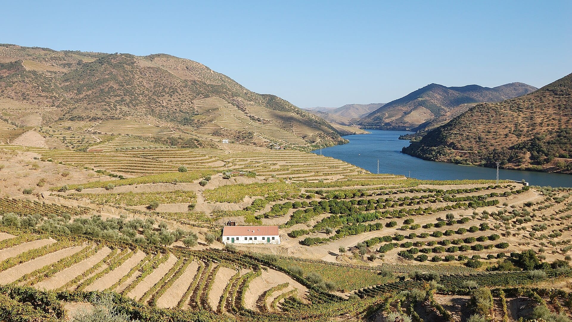 Douro Valley, Portugal