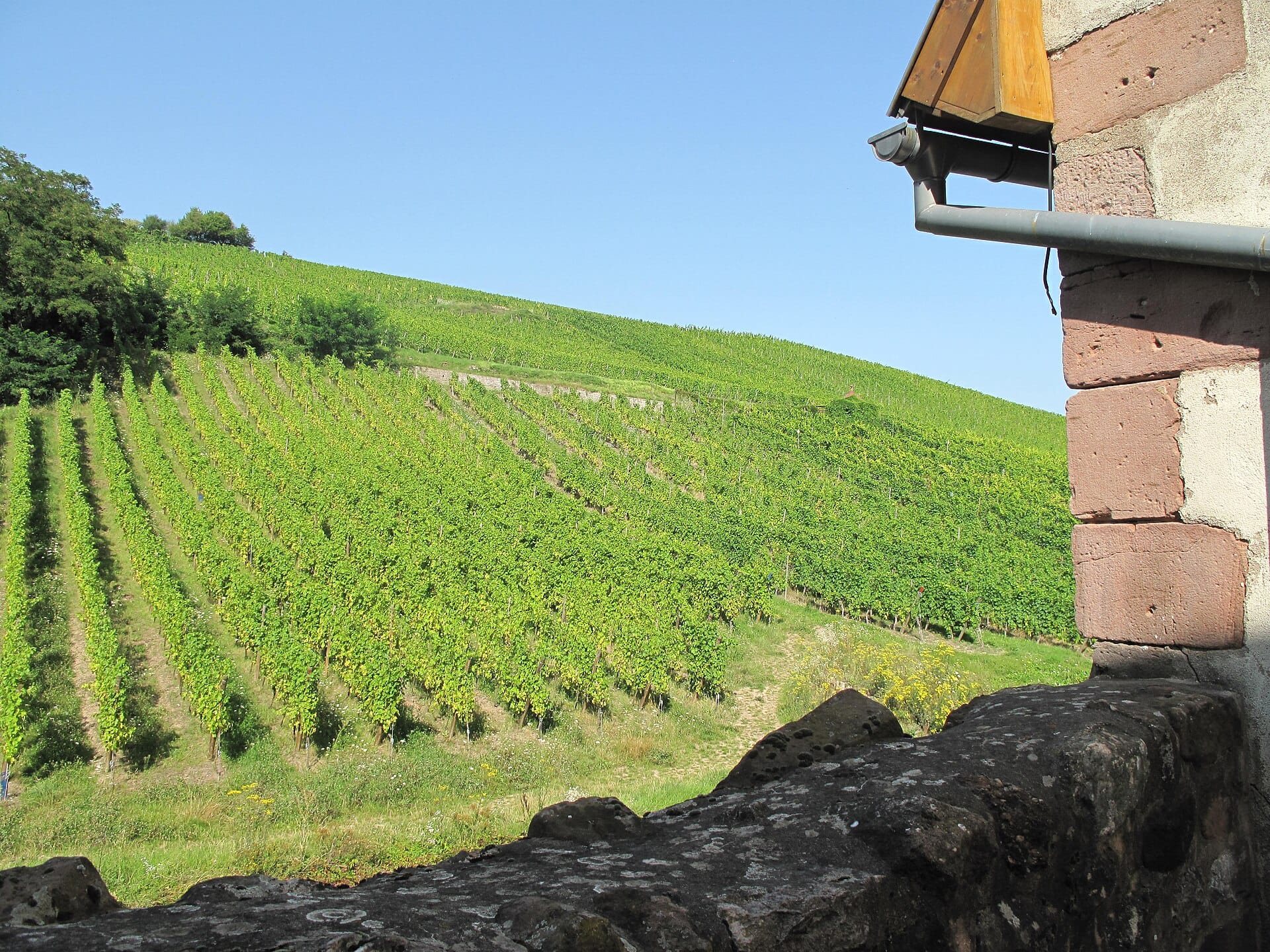Alsace wine route, France