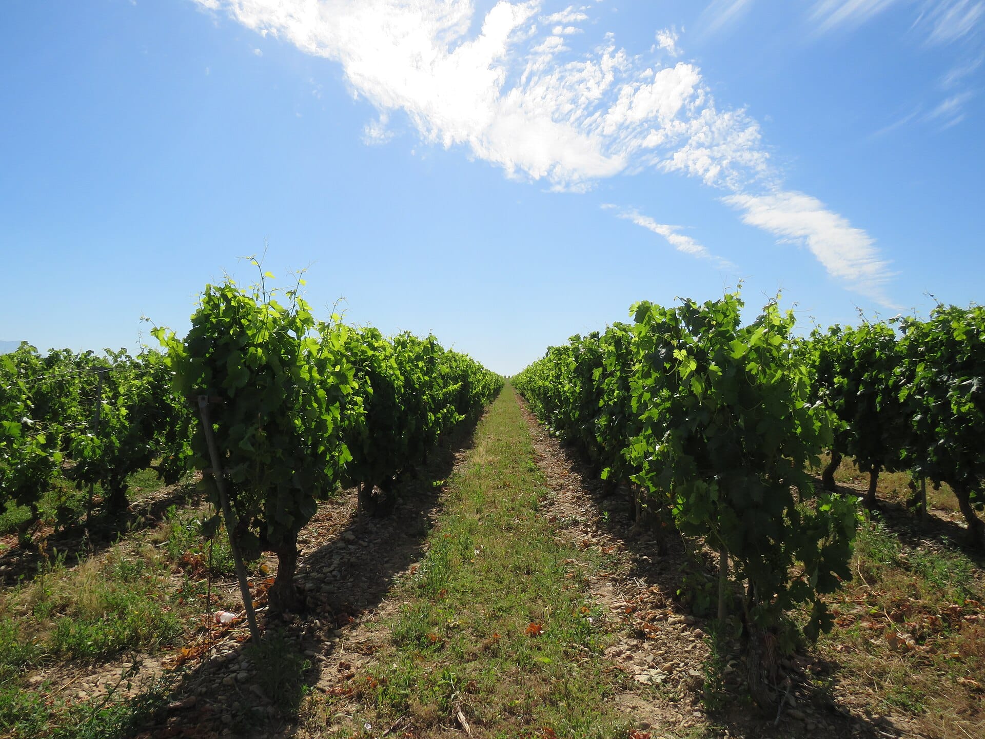 La Rioja, Spain