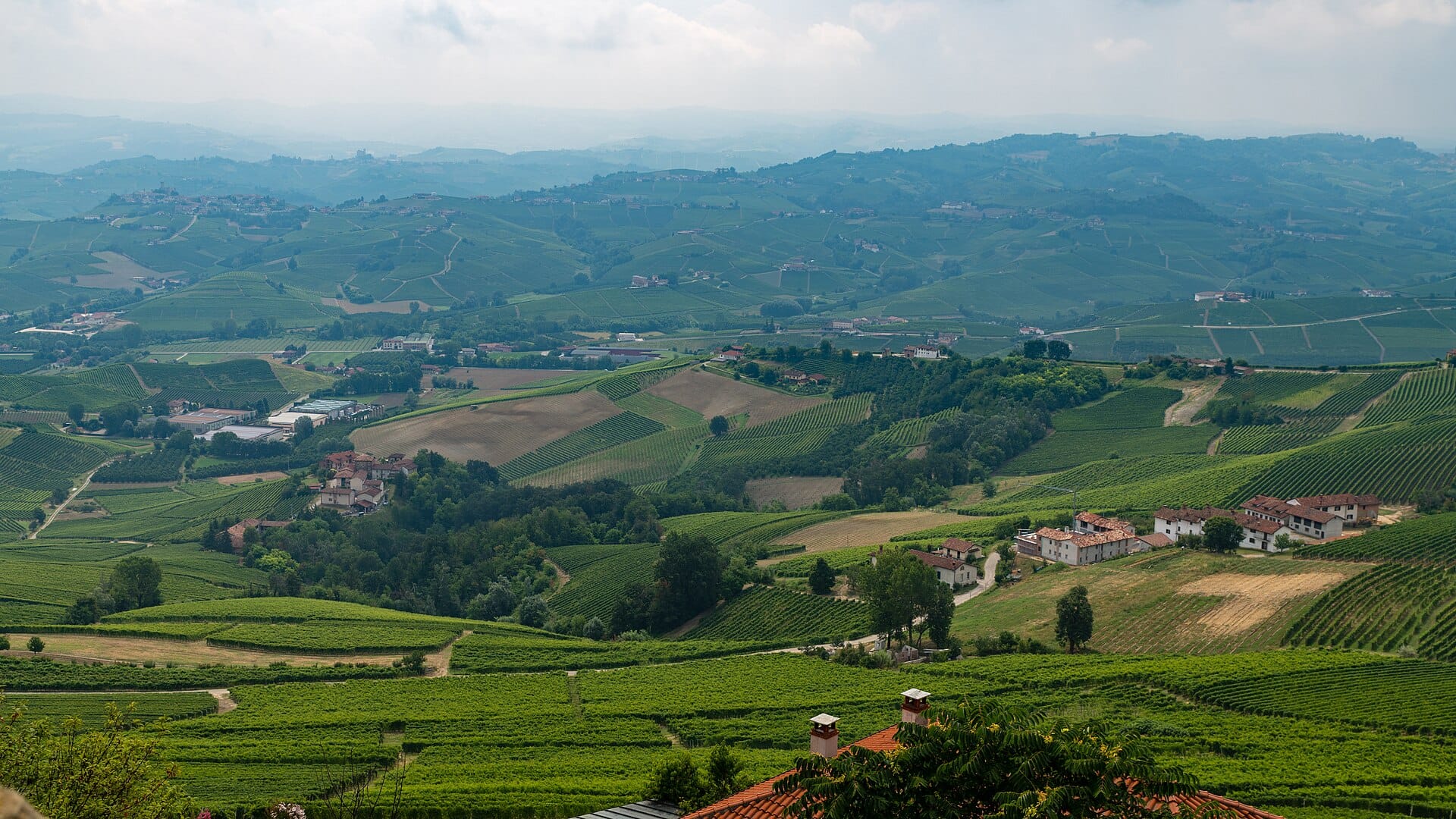 Langhe, Piedmont, Italy