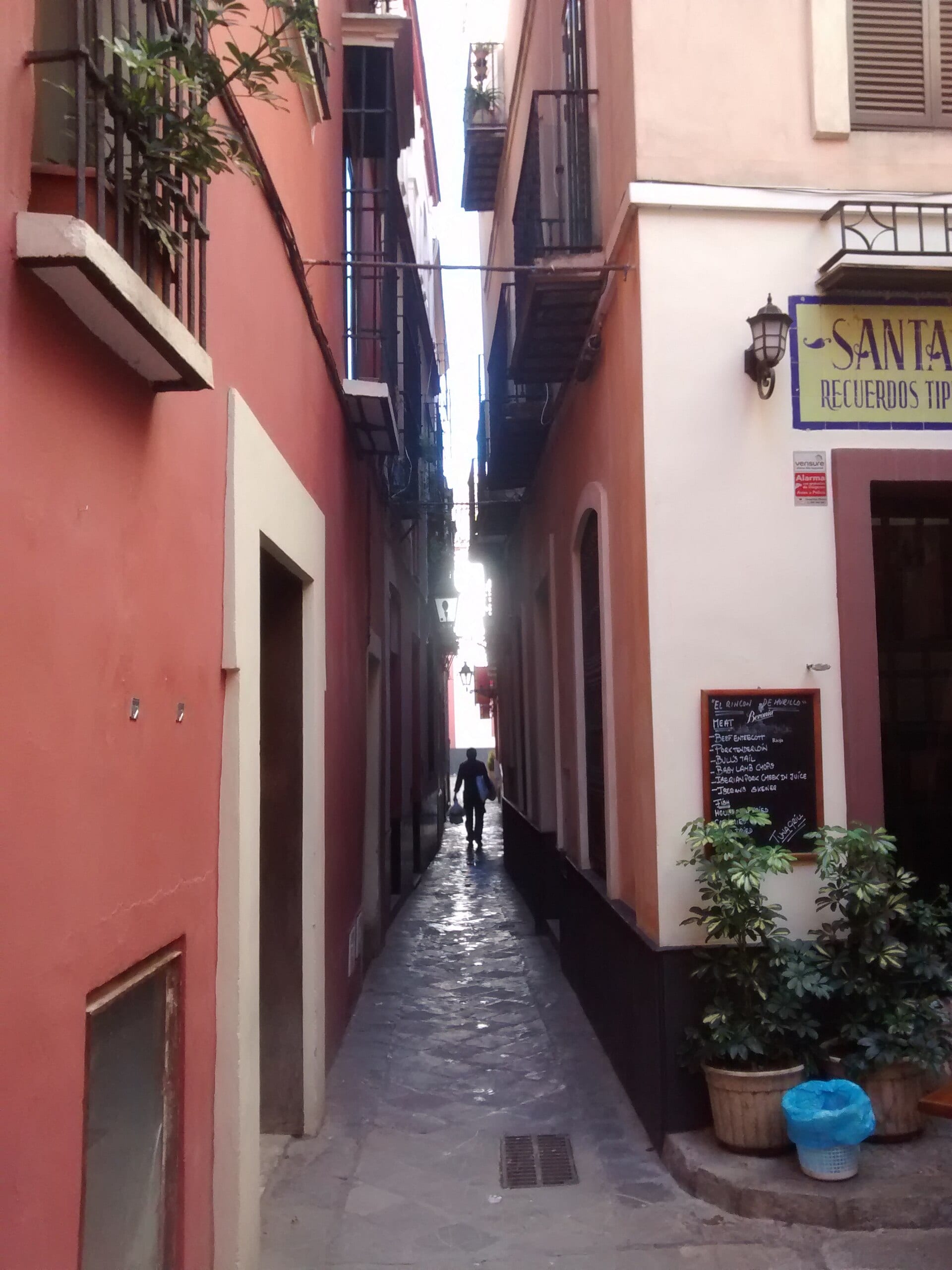 Hotel Amadeus · La música de Sevilla